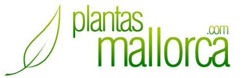 plantas-mallorca-tu-tienda-online-para-profesionales-logo-1473400523